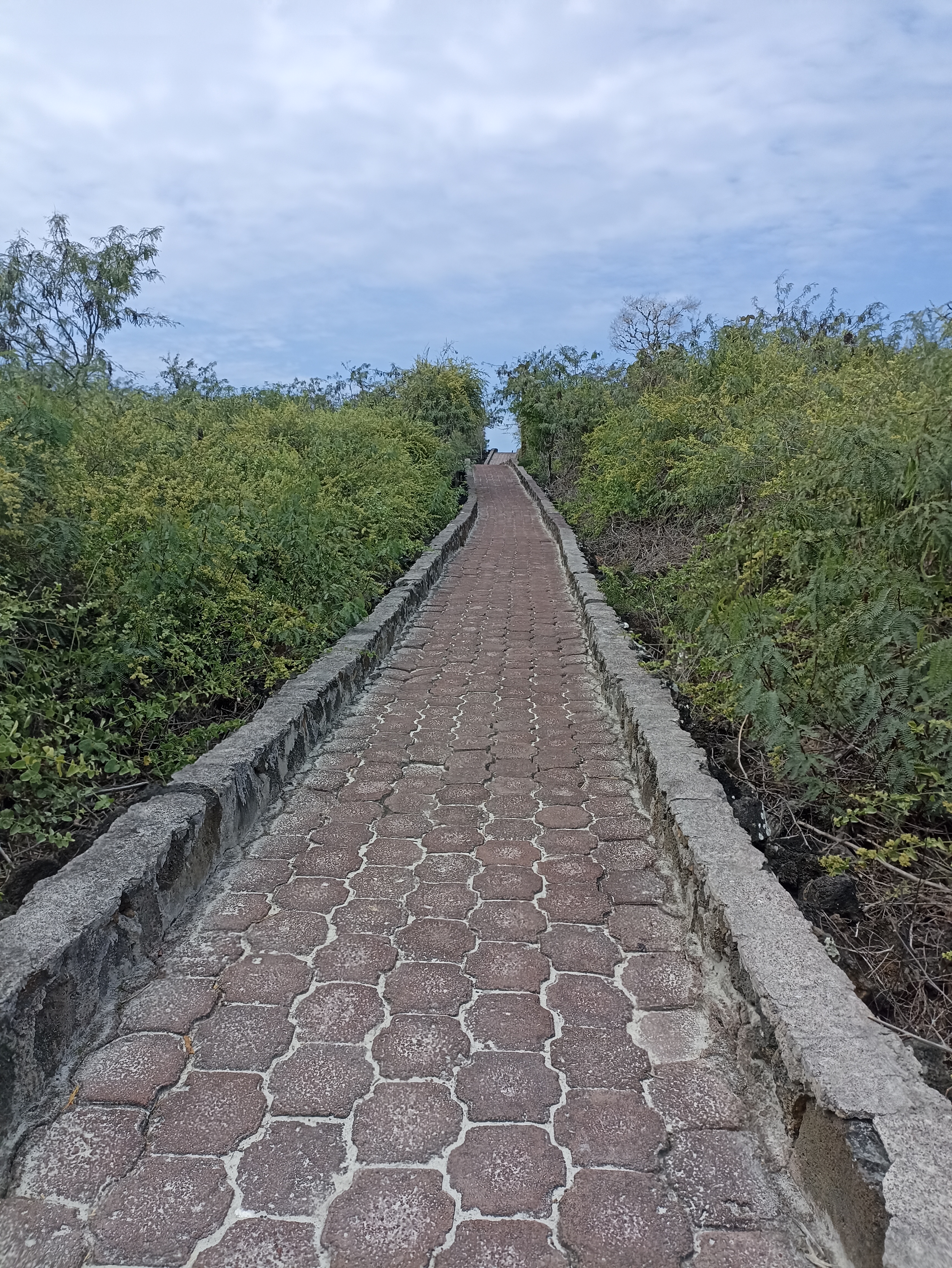 Sobre Galápagos