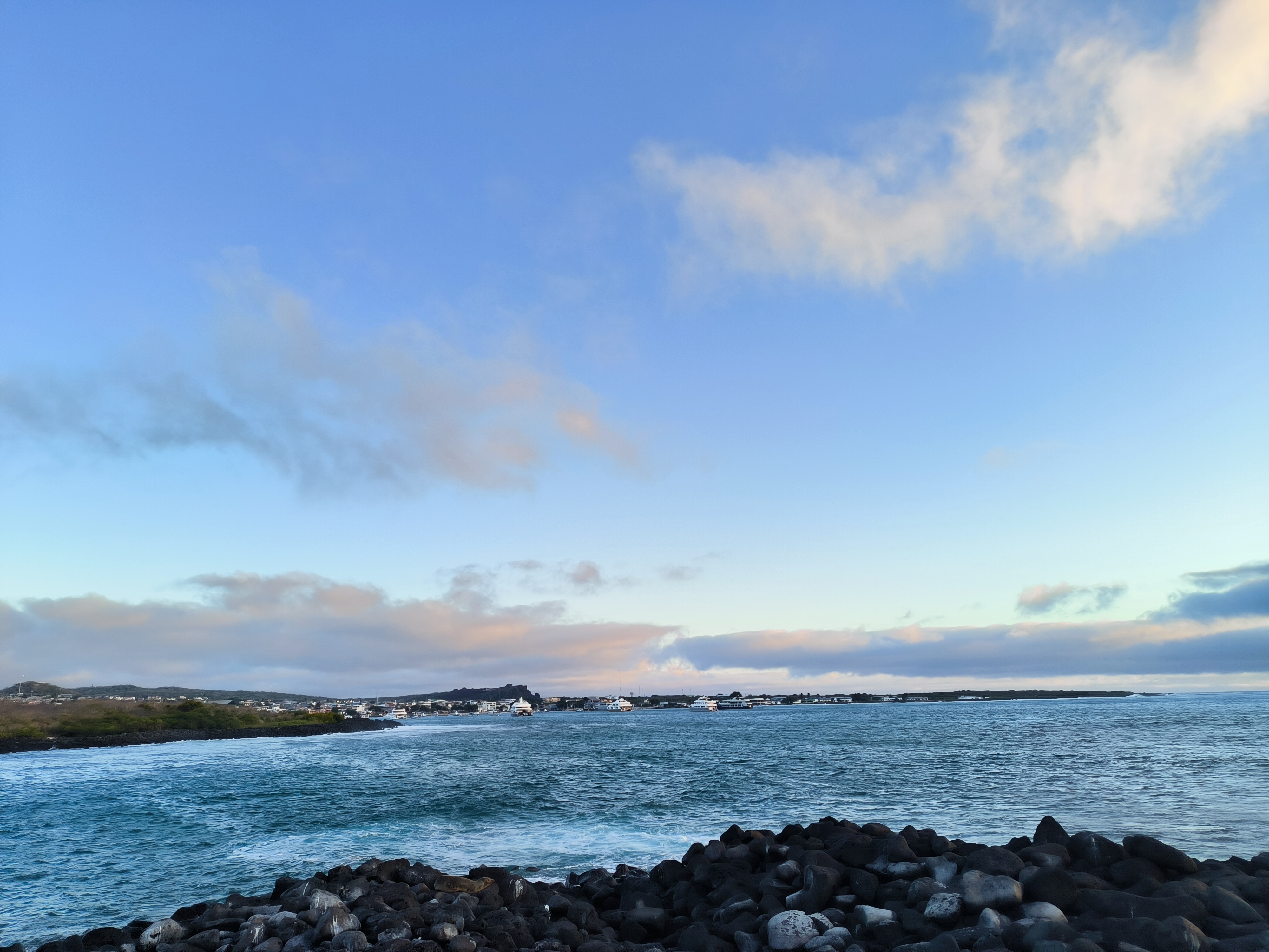 Galápagos Clásico